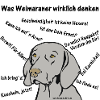 Weimaranergedanken