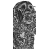 cockerSpaniel black - M