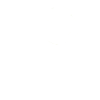 racoon