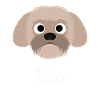 Tzu - Shih Tzu