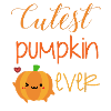 cutest pumpkin ever