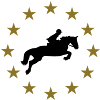 Cheval de saut d'obstacles & Étoiles
