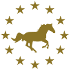 Cheval & Étoiles