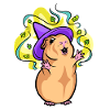 Magic Guinea Pig