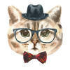 nerd cat