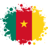 Cameroon Becks / Gift Flag Camerun