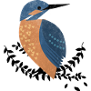 Oiseau de glace