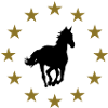 Cheval & Étoiles