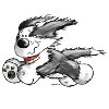 Bearded Collie- Beardie Power - Herding dog
