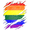 LGBTQ Pride Flag Ripped Reveal