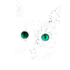 Gloweyecat