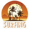 Surfer Surfen Surfing