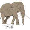 Elephant keep calm