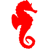 Doux hippocampe rouge comme cadeau