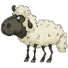 Funny Cute Cool Sheep Lamb