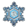 Water Crystal - Thank You / Gratitude / OM / Emoto
