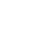 racoon