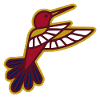 Bird of Egypt