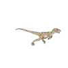 Velociraptor-Gleichung