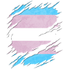 Transgender Pride Flag Ripped Reveal