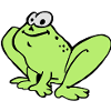 Toad