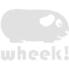 Simple Guinée Pig (Wheek!)