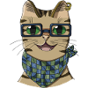 Hipster cat