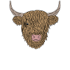 Beef Cow Scottish Highland Cattle Highland Cattle