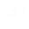 I love whale sharks