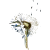 dandelion