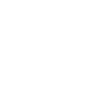 Icelandic horse