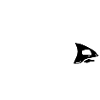 Squelette de poisson noir