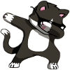 Katze Dab