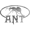 Ant ant lettering animal
