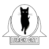 Black Cat Black Cat