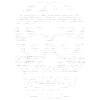 Sugar skull