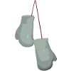Boxhandschuhe