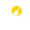Katzen