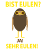 Are owls