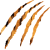 Tiger claw