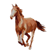 Cheval Shirt · Équitation · Équitation · Cheval