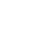 automobile