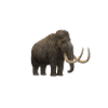 mammoth