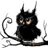 Grumpy Fogy Owl