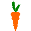 carrot
