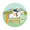 Springreiten Pferd