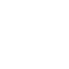 automobile