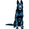 German shepherd