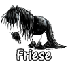Drôle frison - frison - Cheval