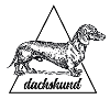 Dackel Hund Geschenk